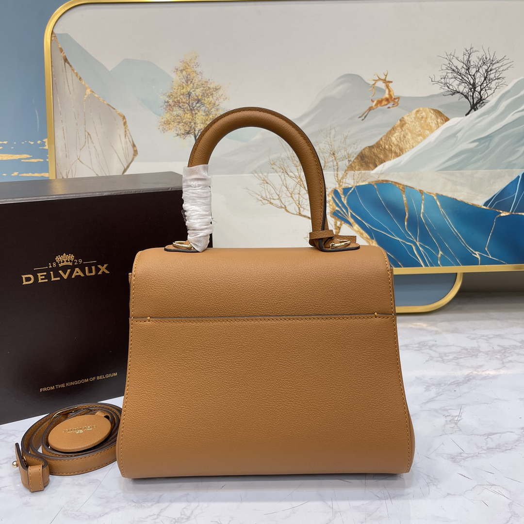 Delvaux AA0569 Brillant PM in Rodeo Calf Brown