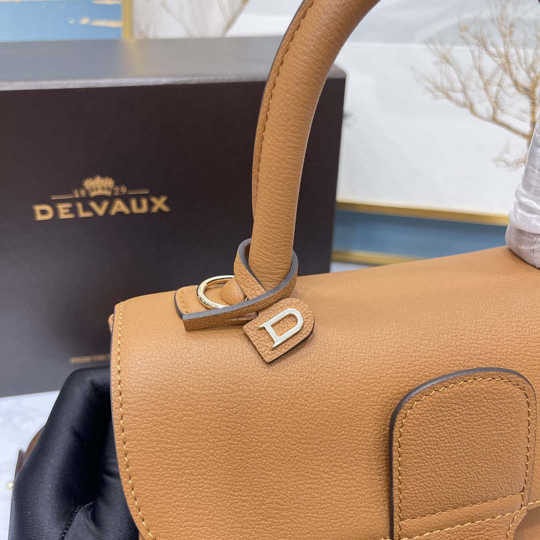 Delvaux AA0569 Brillant PM in Rodeo Calf Brown - Default Title - View 6