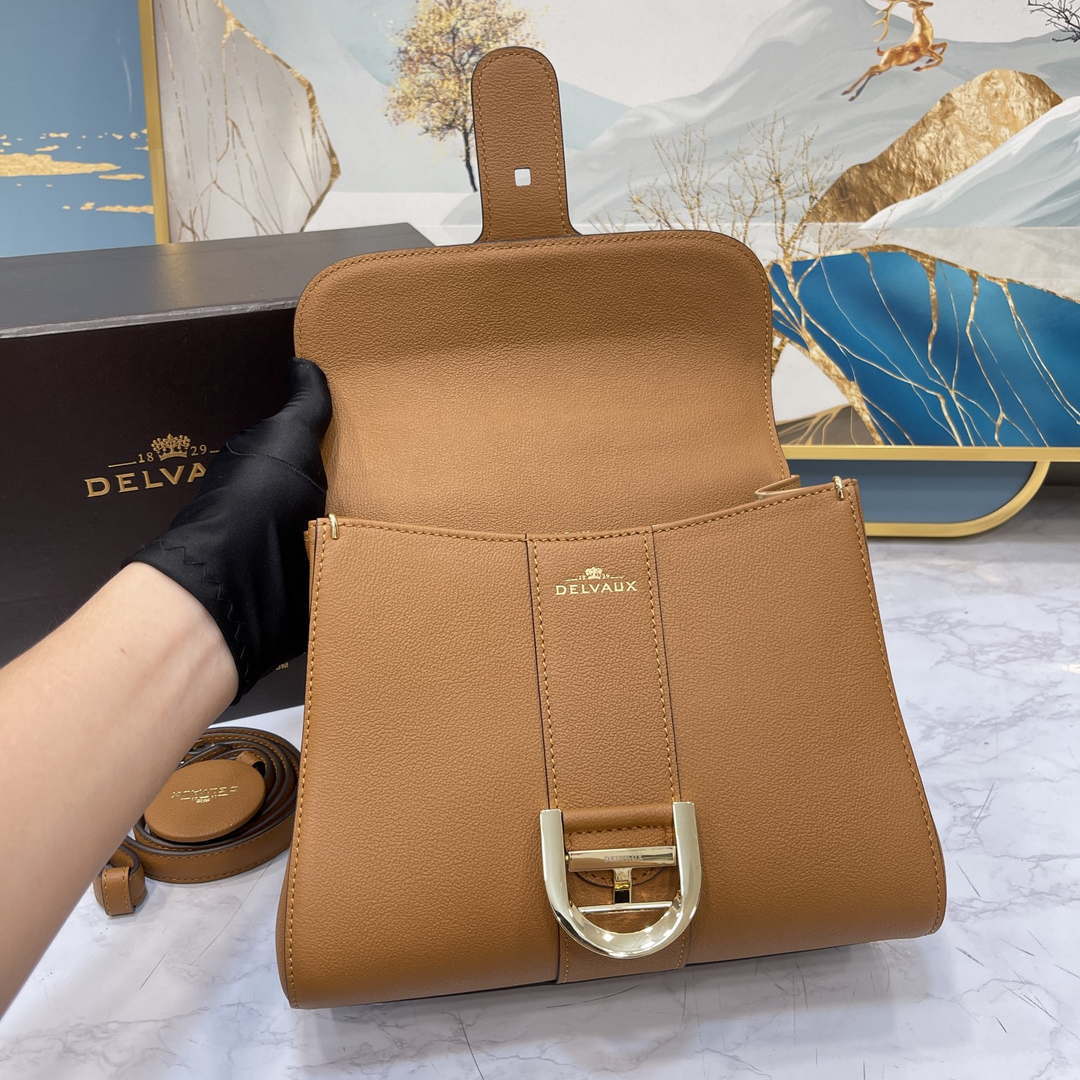 Delvaux AA0569 Brillant PM in Rodeo Calf Brown
