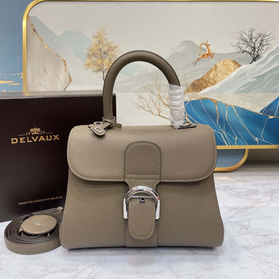 Delvaux AA0569 Brillant PM in Rodeo Calf Gray - Default Title - View 1