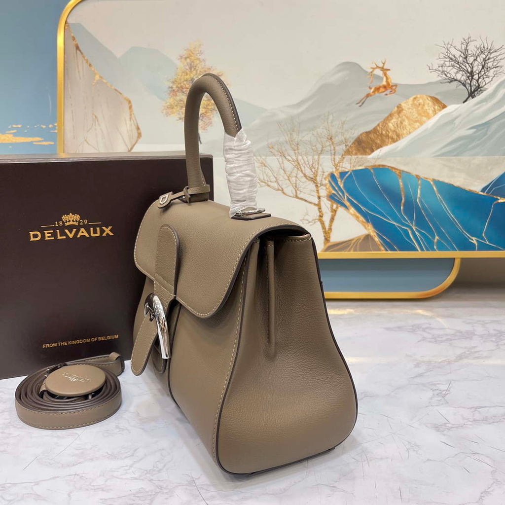 Delvaux AA0569 Brillant PM in Rodeo Calf Gray