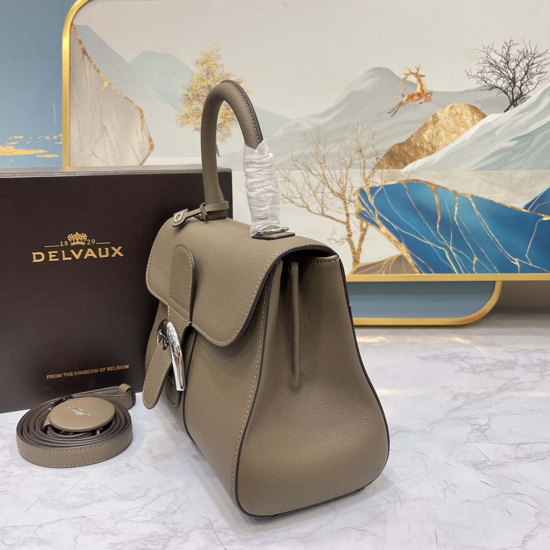 Delvaux AA0569 Brillant PM in Rodeo Calf Gray