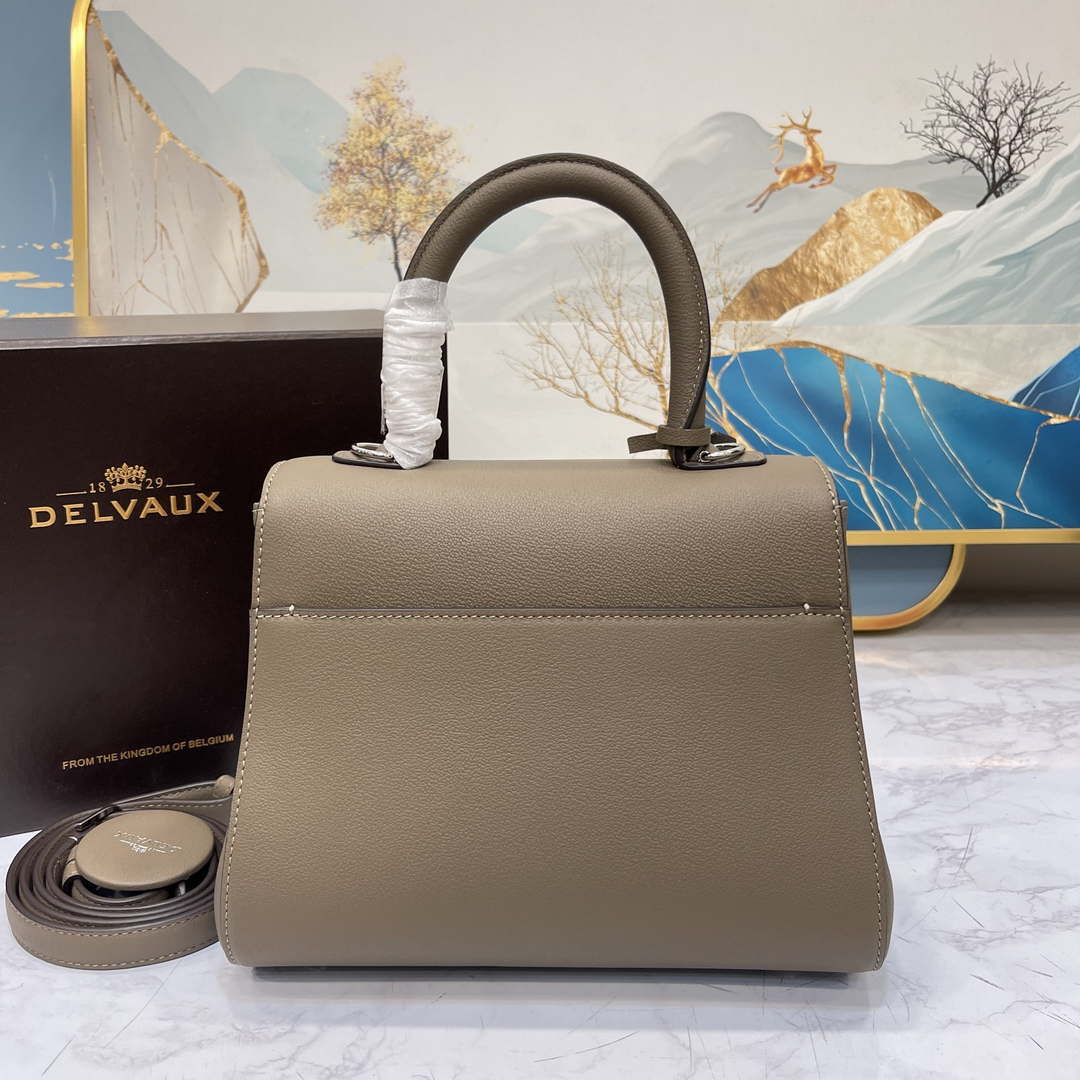 Delvaux AA0569 Brillant PM in Rodeo Calf Gray - Default Title - View 3