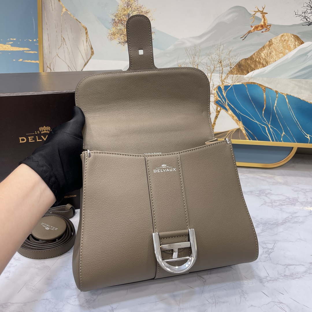 Delvaux AA0569 Brillant PM in Rodeo Calf Gray