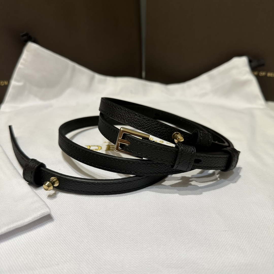 Delvaux AA0616 Temp¨ºte Crush in Jumping Calf Black