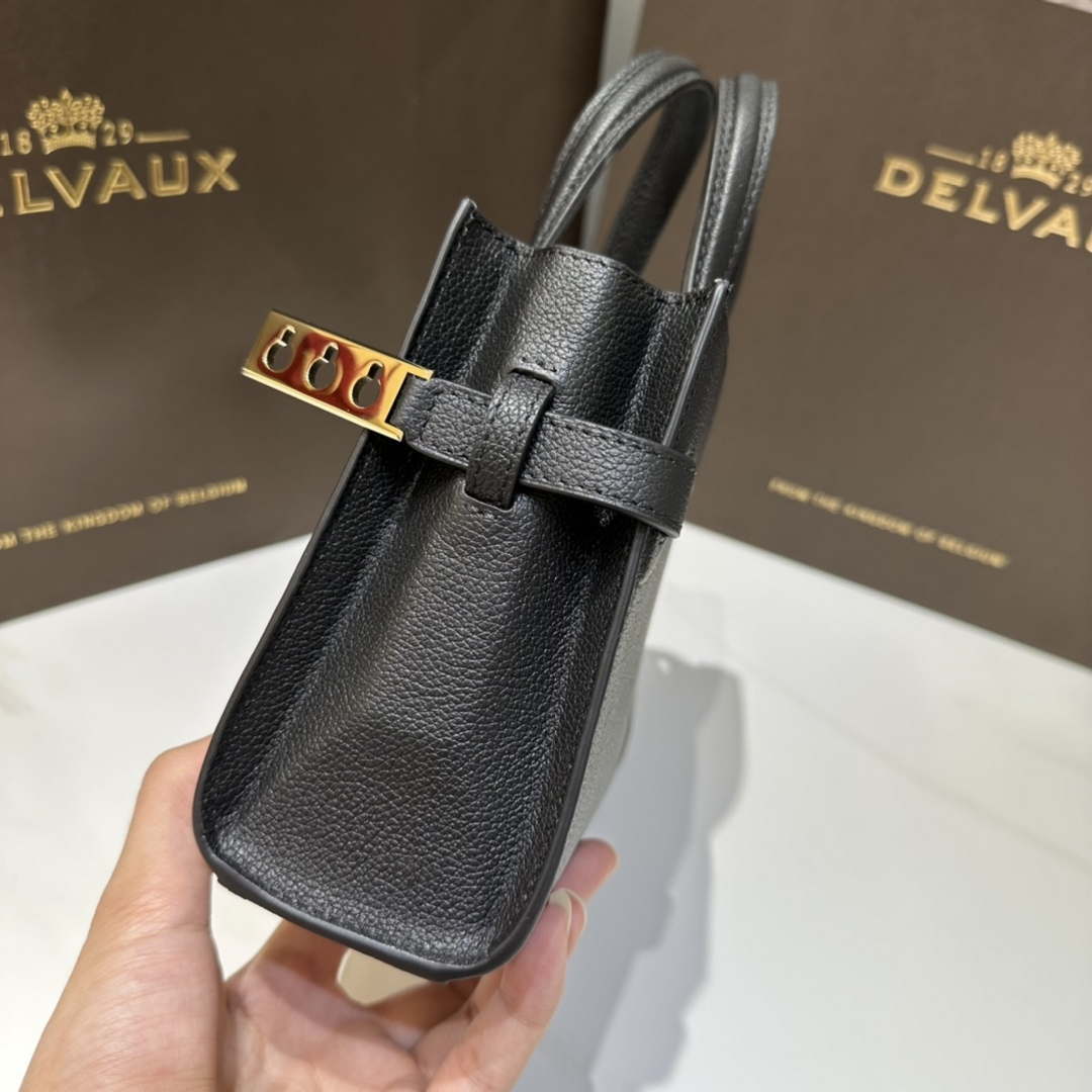 Delvaux AA0616 Temp¨ºte Crush in Jumping Calf Black
