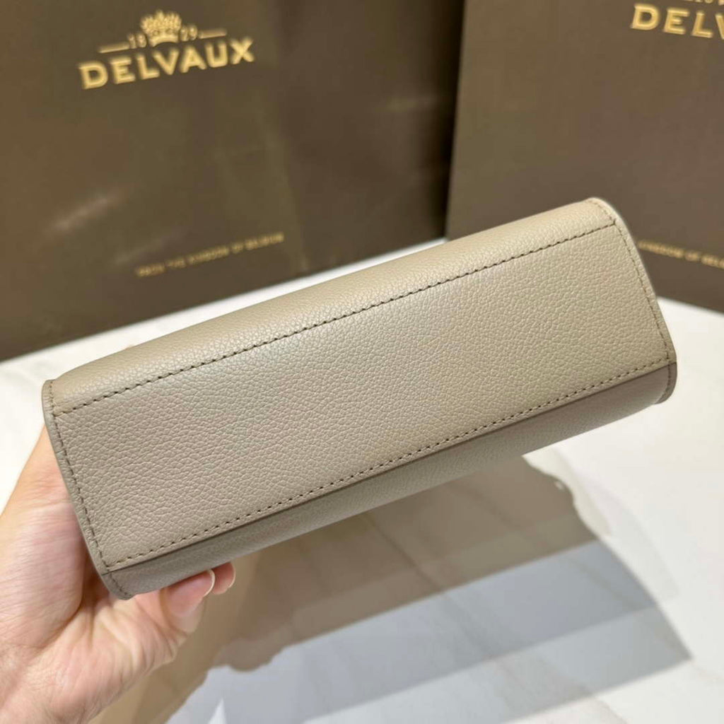Delvaux AA0616 Temp¨ºte Crush in Jumping Calf Gray