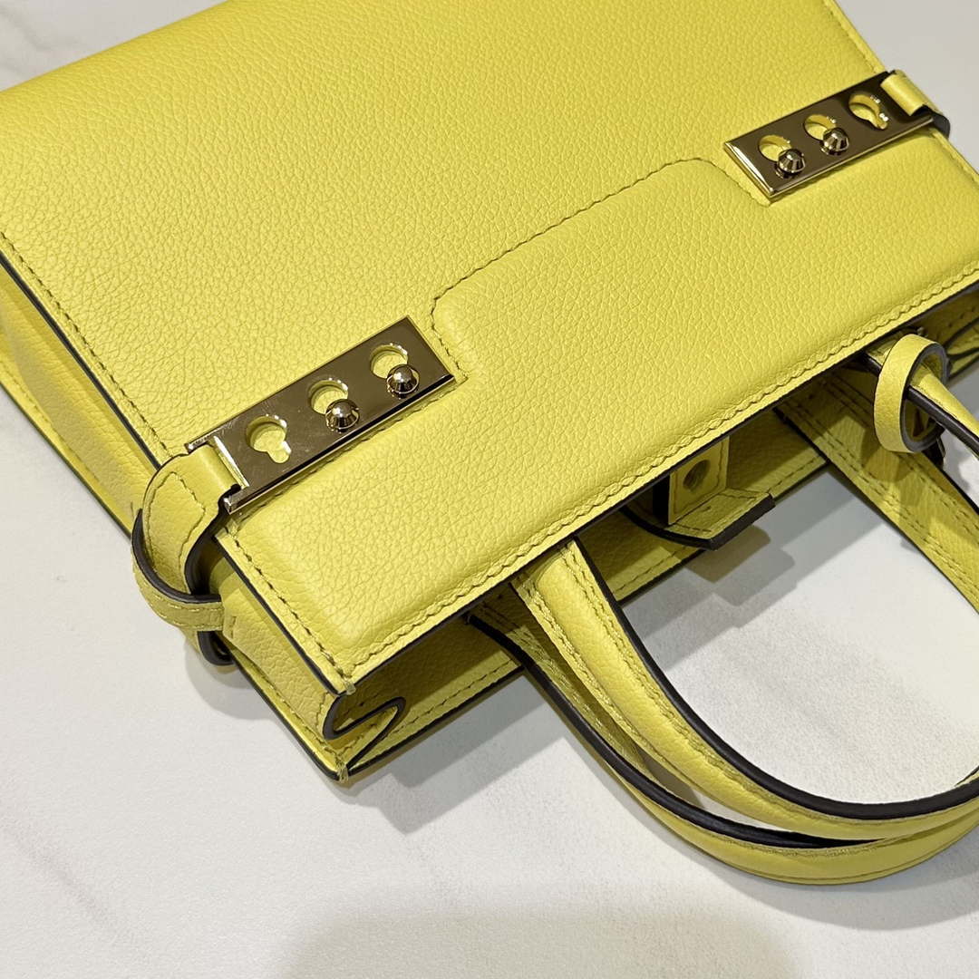 Delvaux AA0616 Temp¨ºte Crush in Jumping Calf Yellow