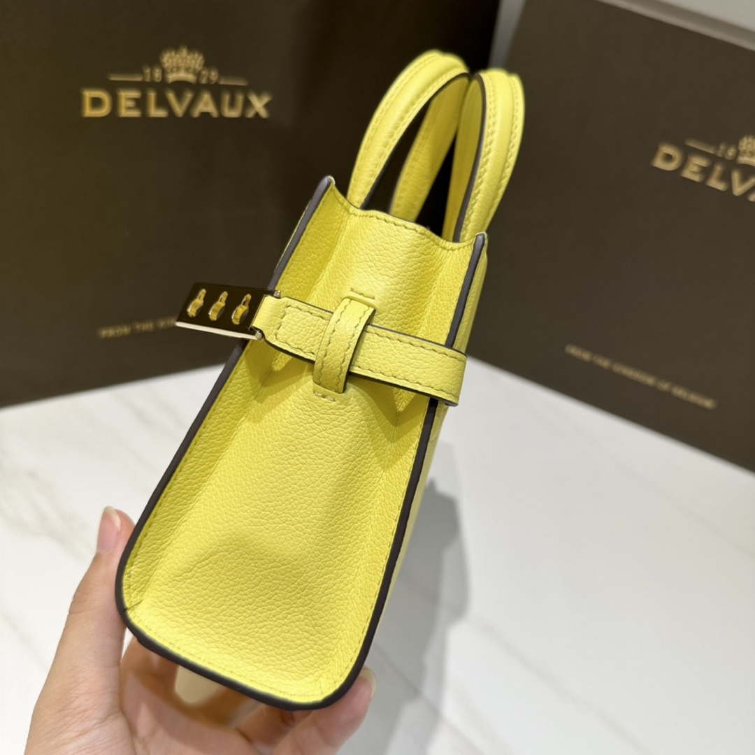 Delvaux AA0616 Temp¨ºte Crush in Jumping Calf Yellow