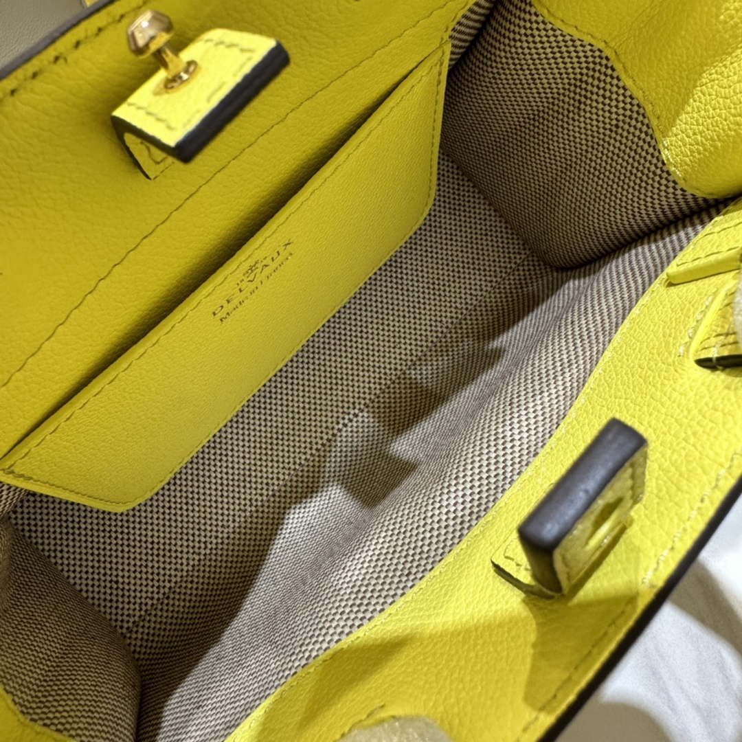 Delvaux AA0616 Temp¨ºte Crush in Jumping Calf Yellow