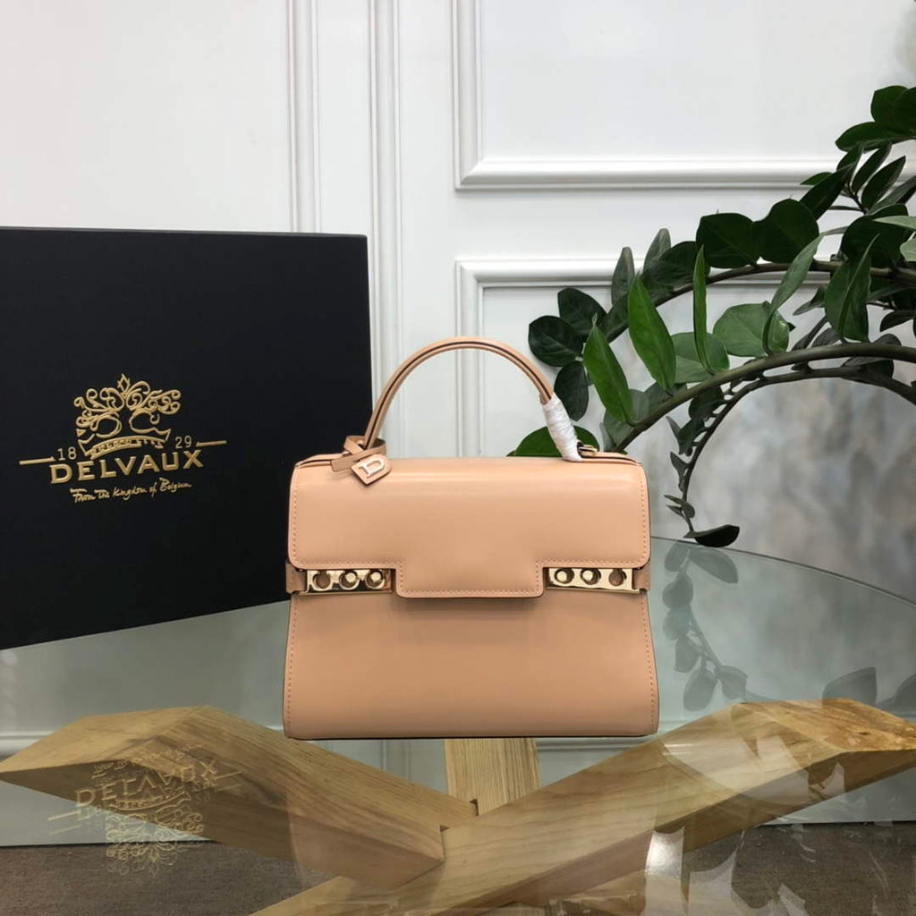 Delvaux AA0617 Temp¨ºte Crush Bag milk tea