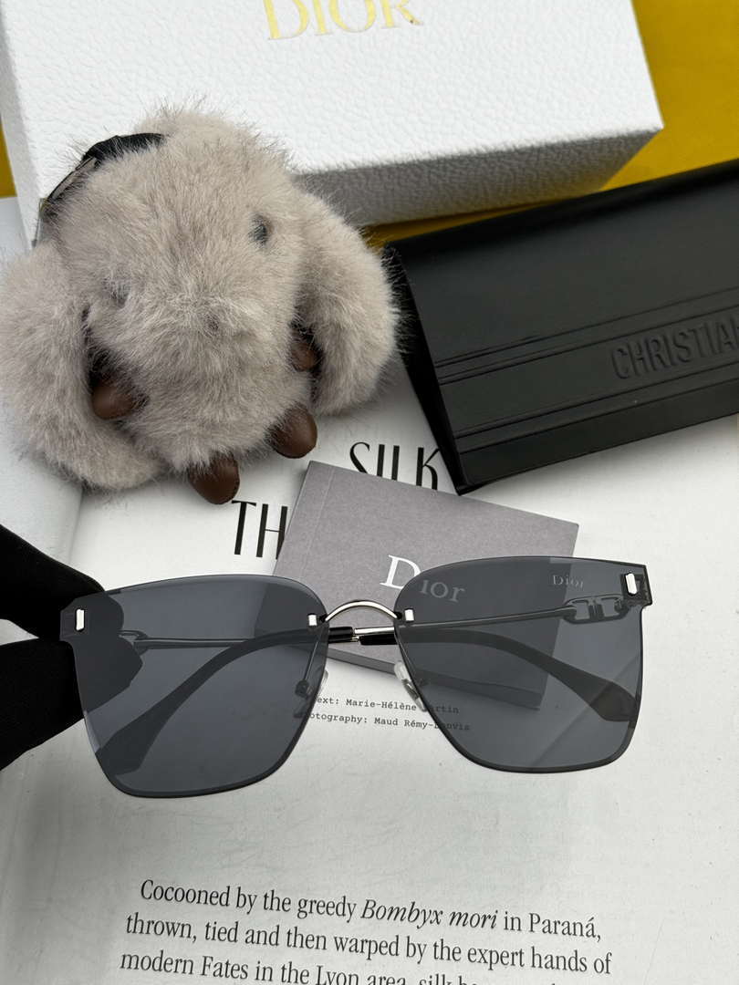 Dior Classic Sunglasses Fashion CD4641