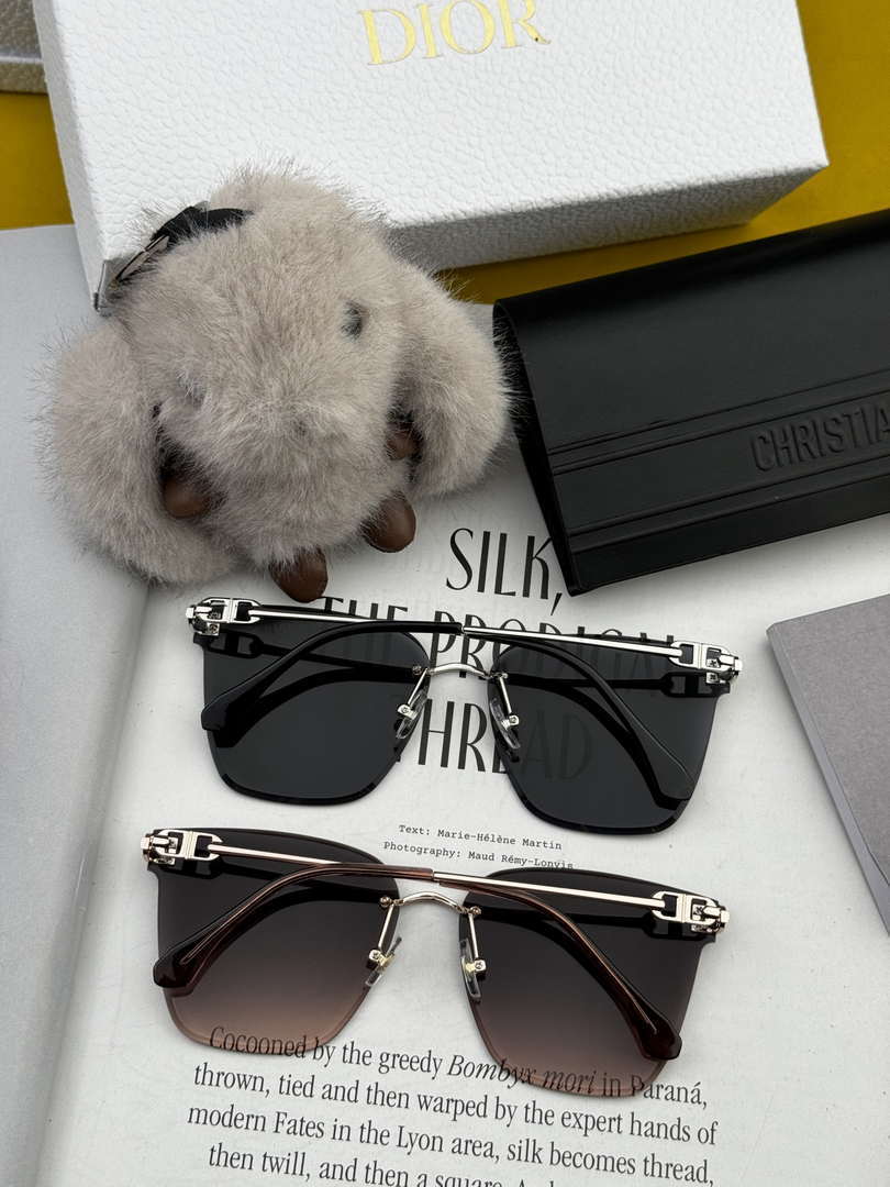 Dior Classic Sunglasses Fashion CD4641