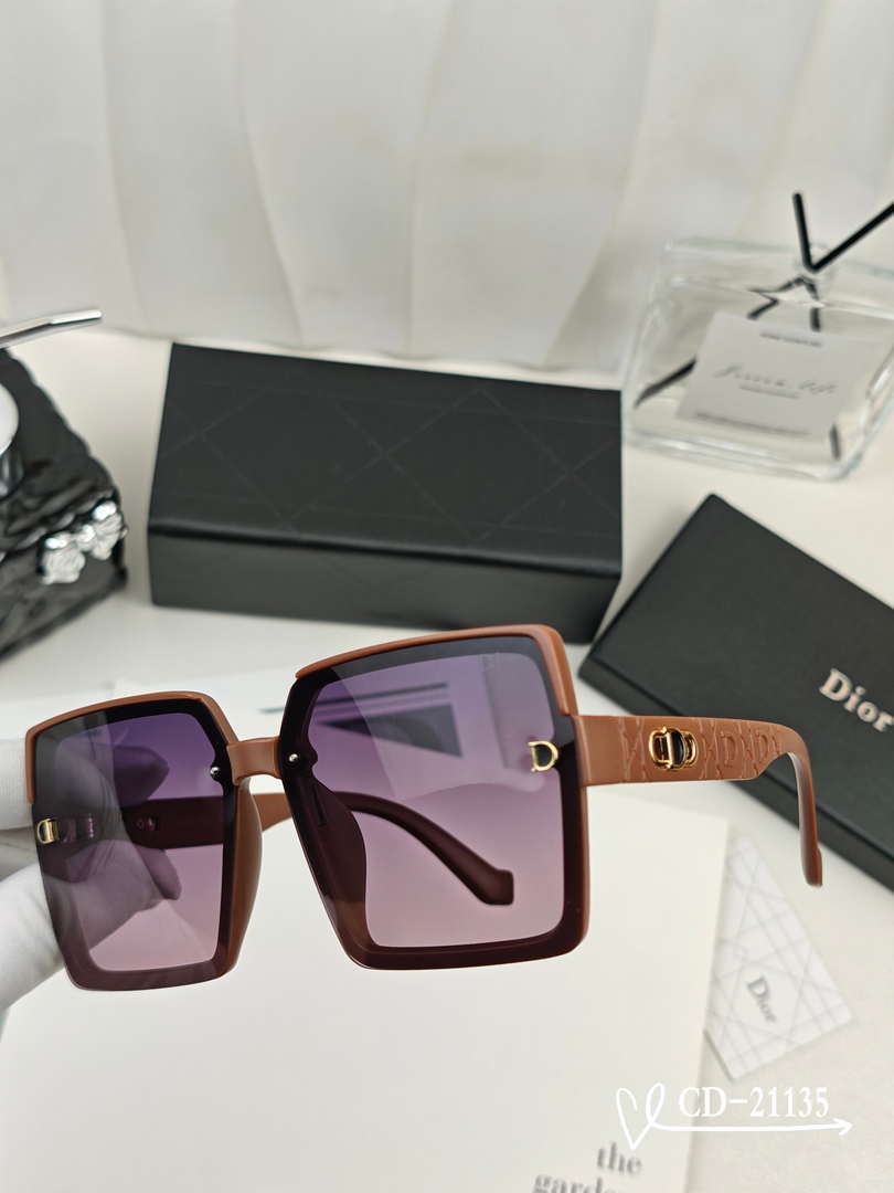 Dior Classic Sunglasses Fashion D21135