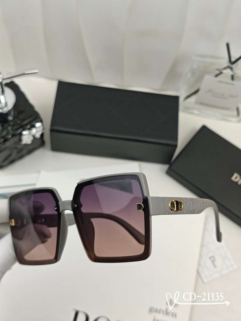 Dior Classic Sunglasses Fashion D21135