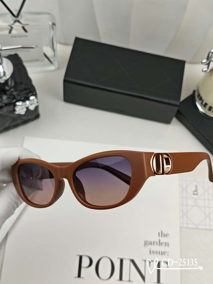Dior Classic Sunglasses Fashion D25157