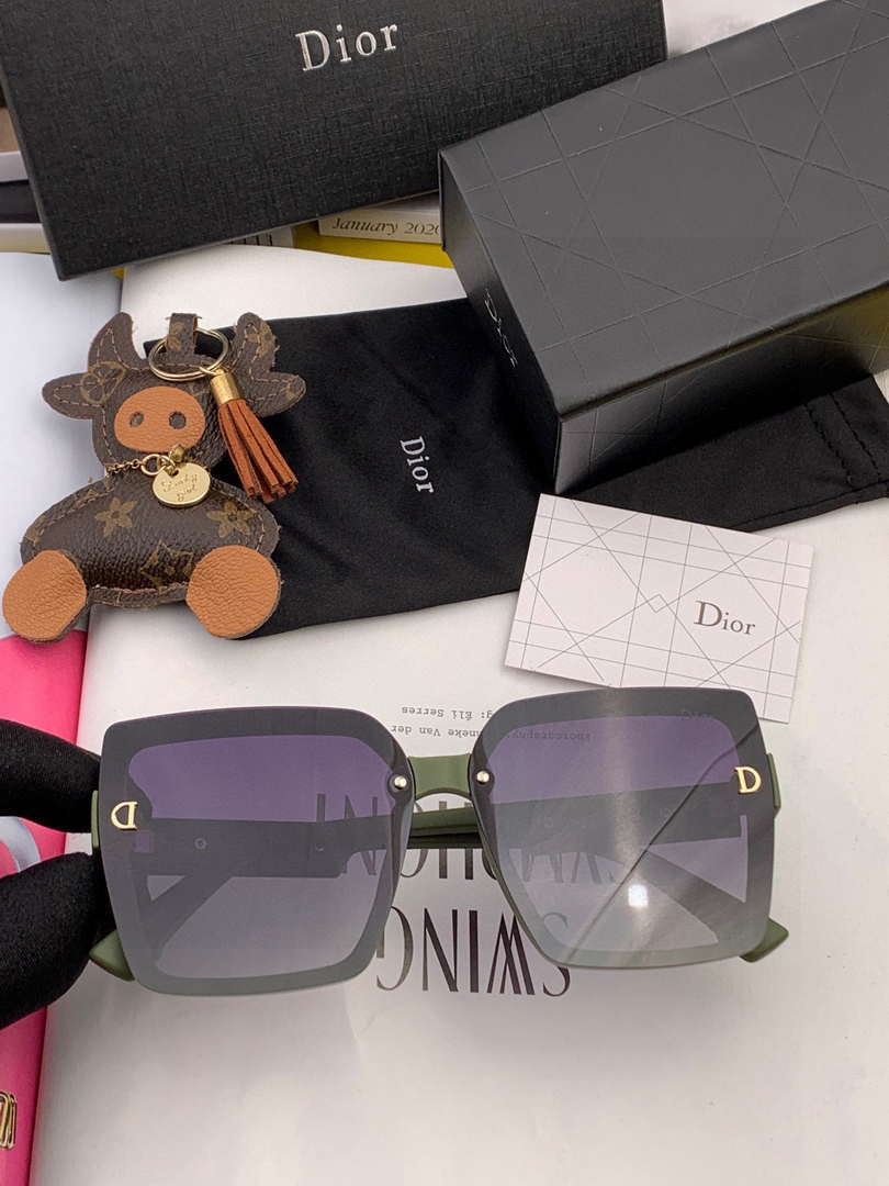 Dior Classic Sunglasses Fashion D6514