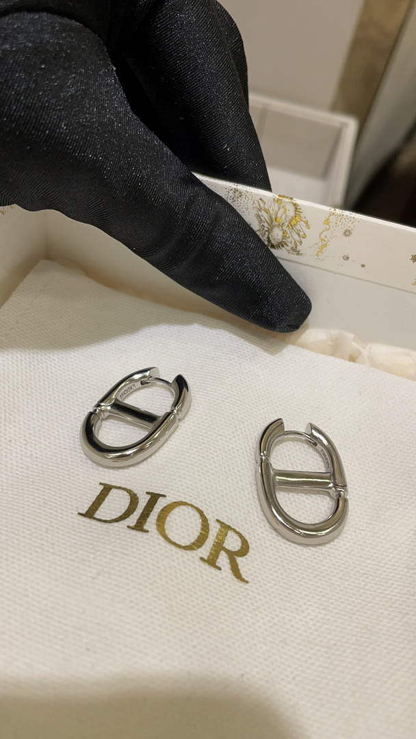Dior E2113 CD Navy Earrings D99133