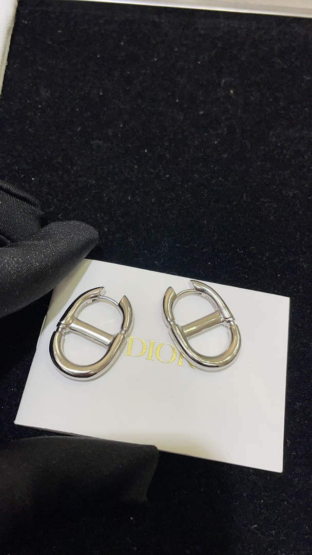 Dior E2113 CD Navy Earrings D99133