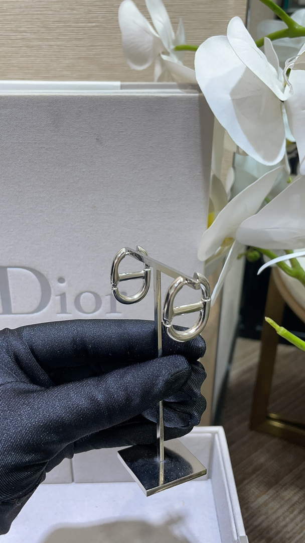 Dior E2113 CD Navy Earrings D99133