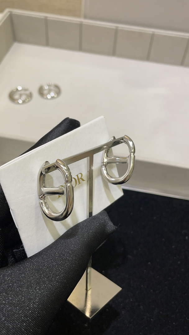 Dior E2113 CD Navy Earrings D99133