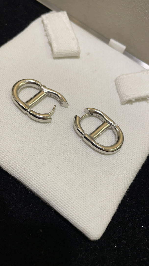 Dior E2113 CD Navy Earrings D99133