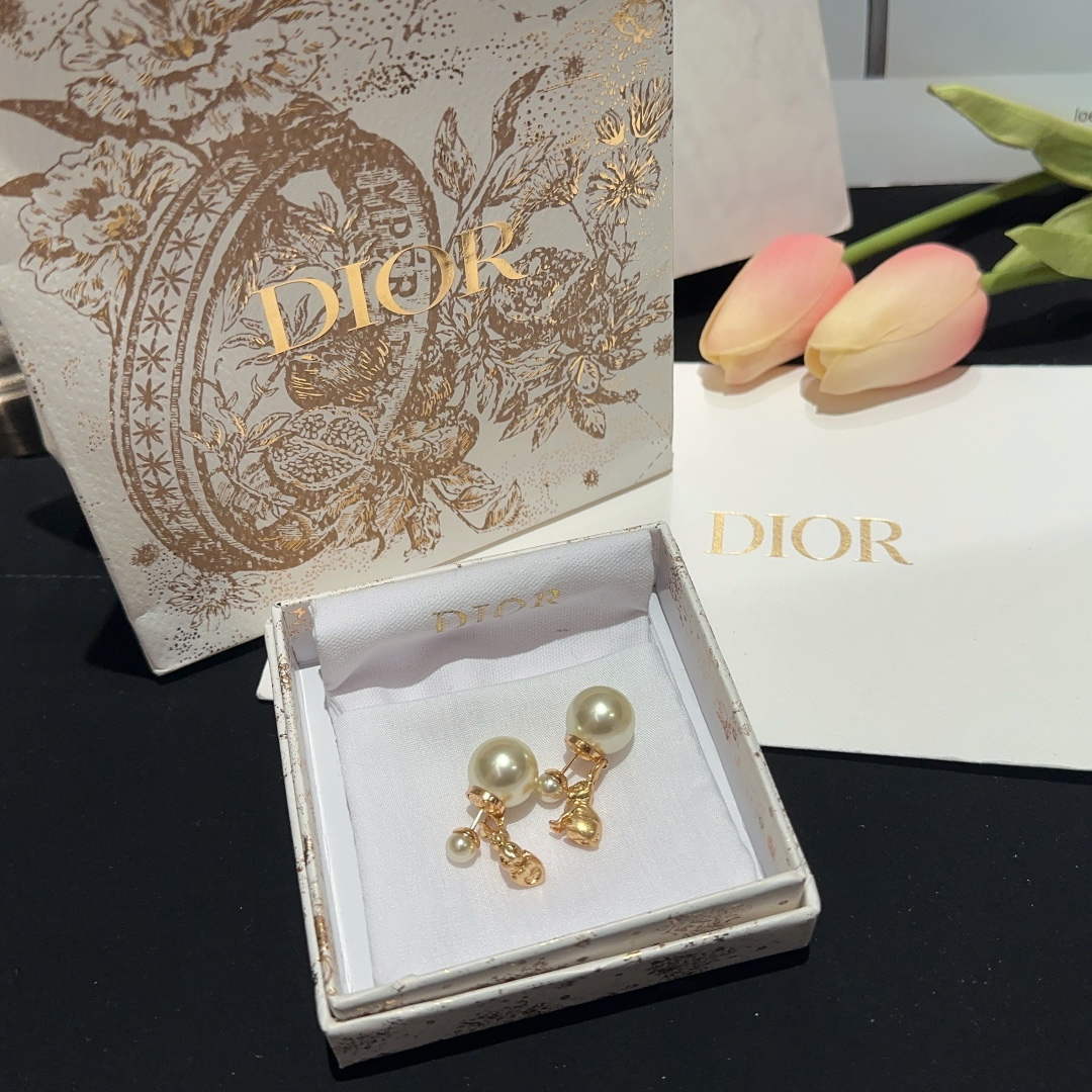 Dior E2135WOMRS Dior Tribales Earrings D99200 - Default Title - View 1