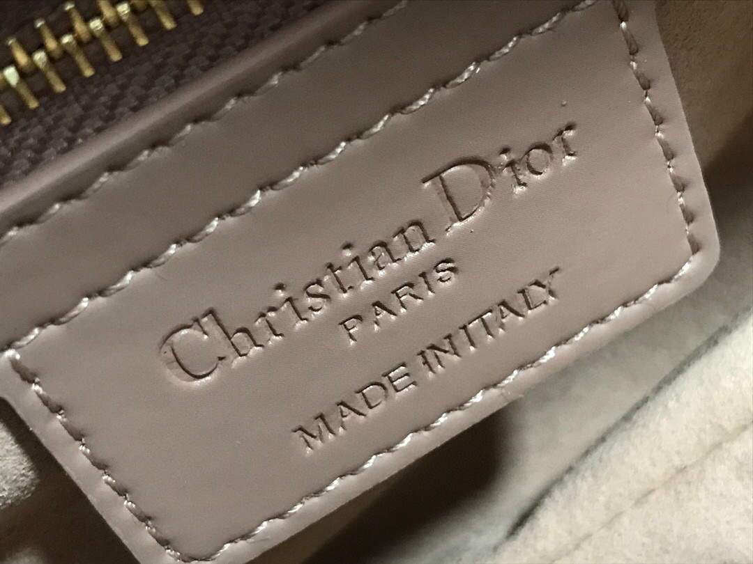 Dior M0446 Dior Saddle Bag M0447 Apricot Grained Calfskin with Apricot Hardware - luxibagsmall