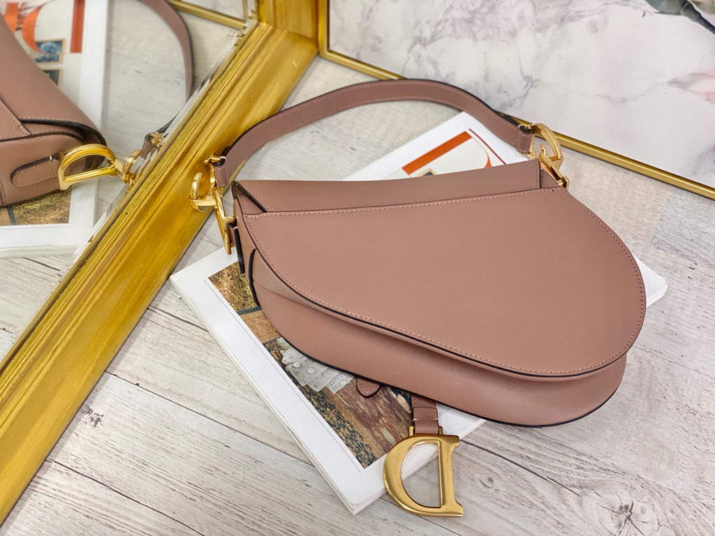 Dior M0446 Dior Saddle Bag M0447 Light Pink Goatskin Gold Hardware