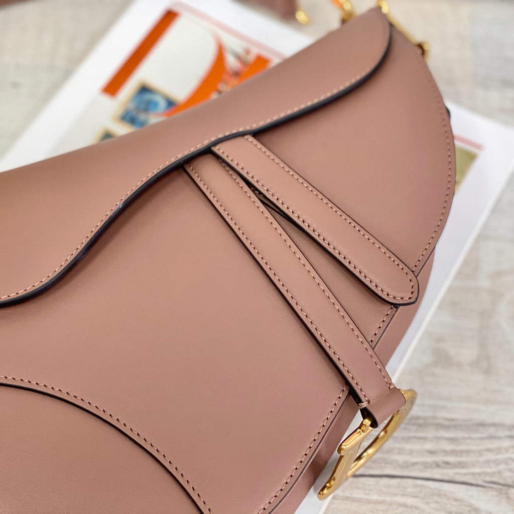 Dior M0446 Dior Saddle Bag M0447 Light Pink Goatskin Gold Hardware
