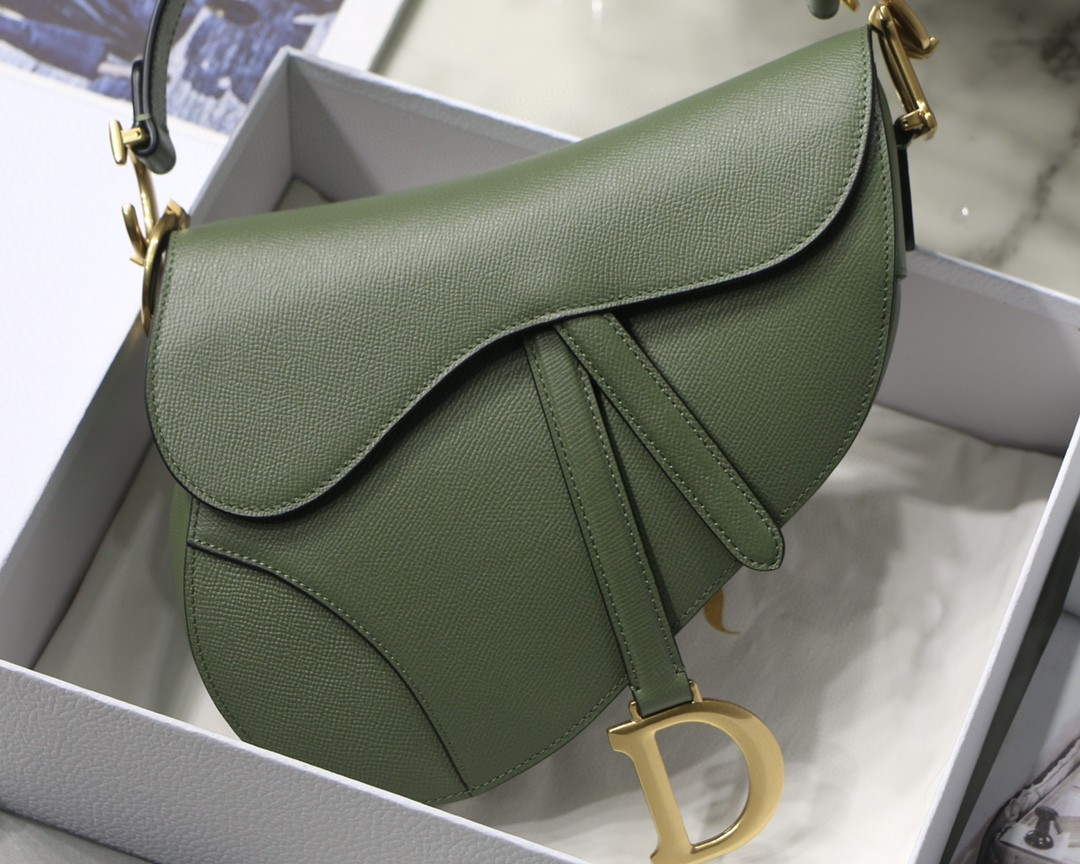 Dior M0446 Saddle Bag Dior Calfskin Bag Green