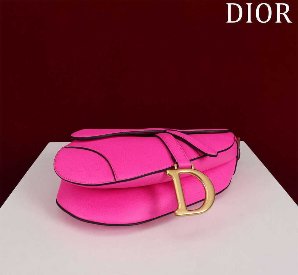 Dior M0455 Saddle Bag With Strap plain weave Pink Calfskin M0456