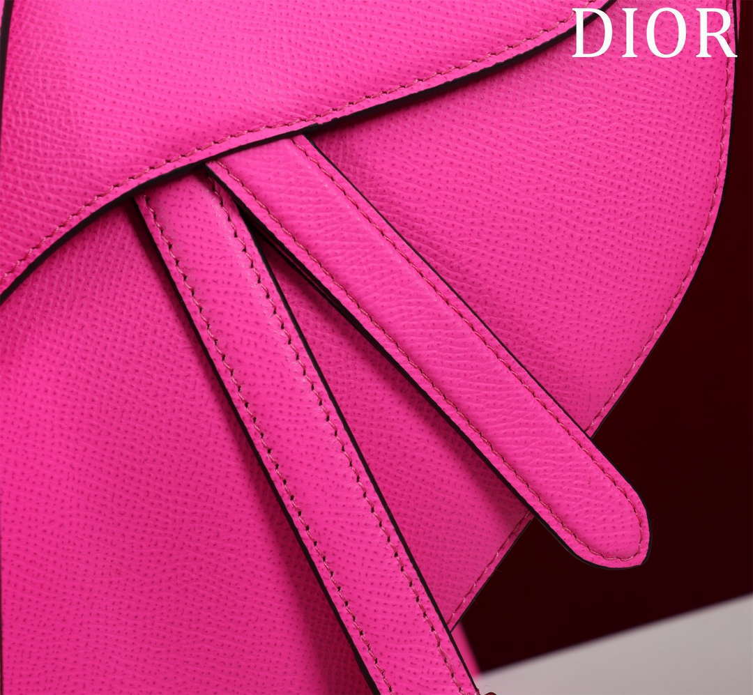 Dior M0455 Saddle Bag With Strap plain weave Pink Calfskin M0456