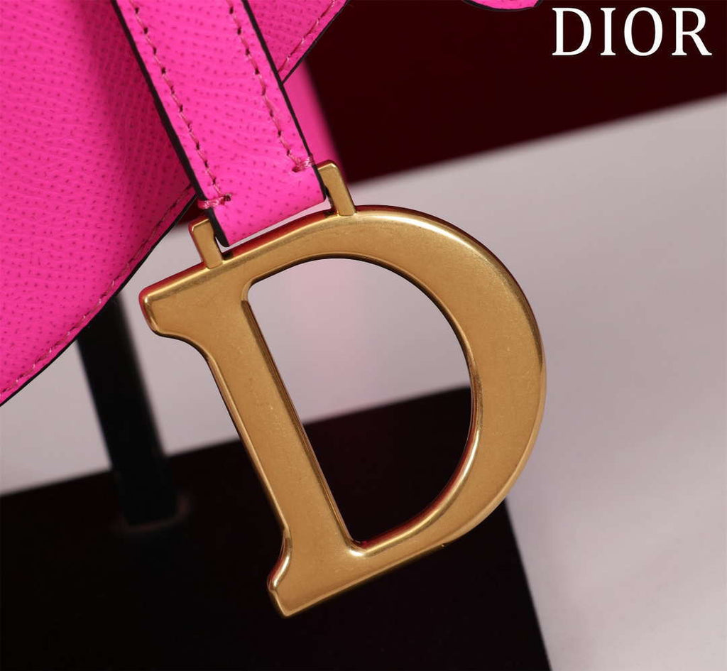 Dior M0455 Saddle Bag With Strap plain weave Pink Calfskin M0456