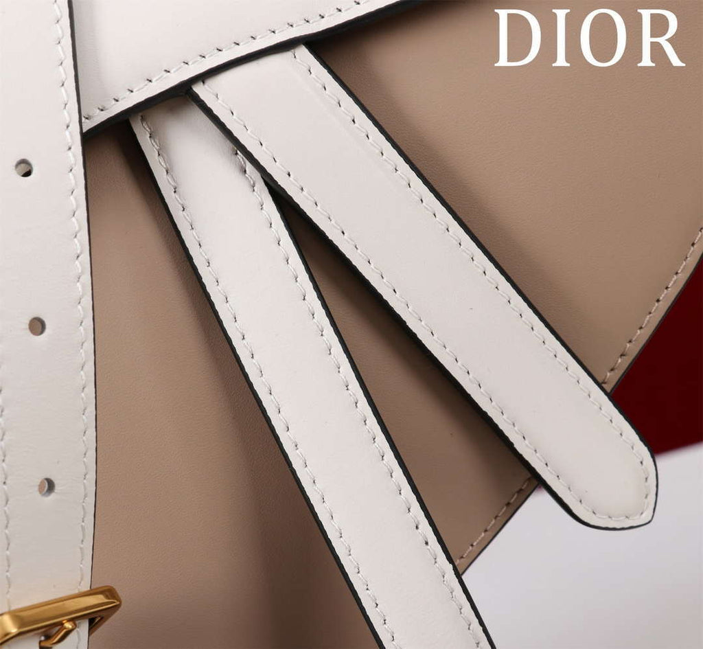 Dior M0455 Saddle Bag With Strap plain weave White and Nude Calfskin M0456