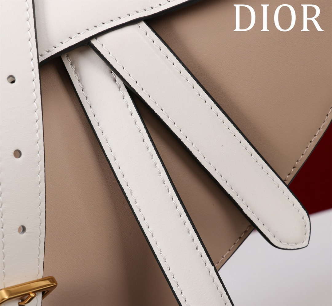 Dior M0455 Saddle Bag With Strap plain weave White and Nude Calfskin M0456