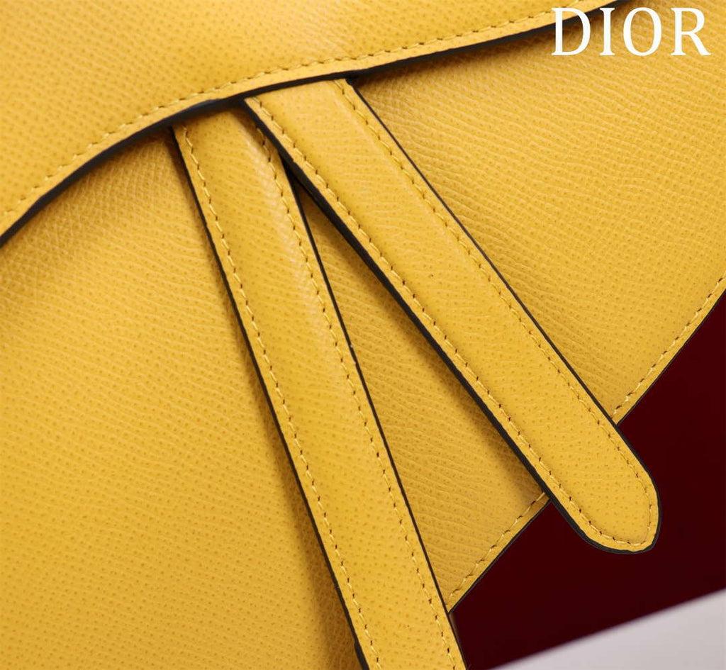 Dior M0455 Saddle Bag With Strap plain weave Yellow Calfskin M0456