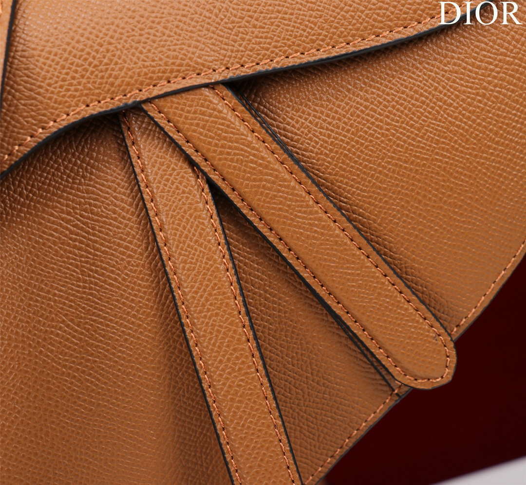 Dior M0456 Mini Saddle Bag With Strap Brown Grained Calfskin