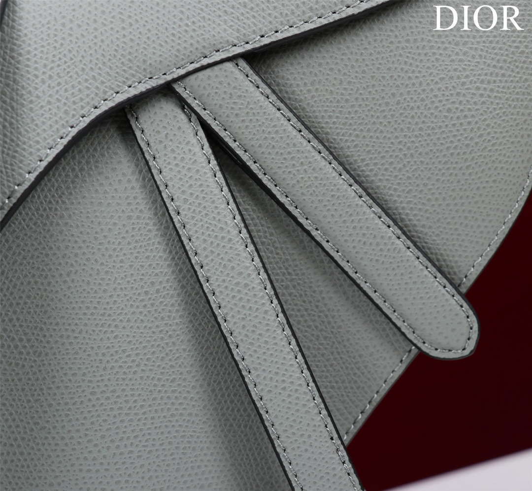 Dior M0456 Mini Saddle Bag With Strap Gray Grained Calfskin