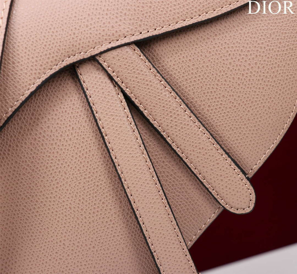 Dior M0456 Mini Saddle Bag With Strap Nude Grained Calfskin