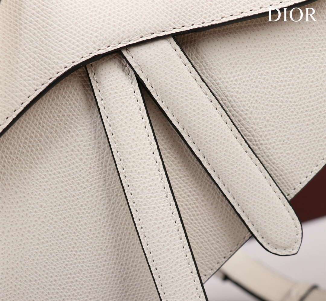 Dior M0456 Mini Saddle Bag With Strap White Grained Calfskin