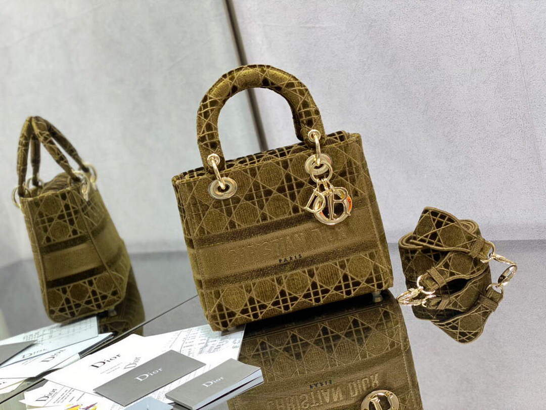 Dior M0565 Medium Lady D-lite Embroidery Bag - Default Title - View 1