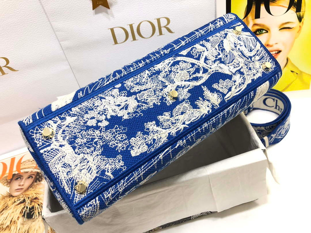Dior M0566 Large Lady D-Lite Blue Toile de Jouy Embroidery M1053