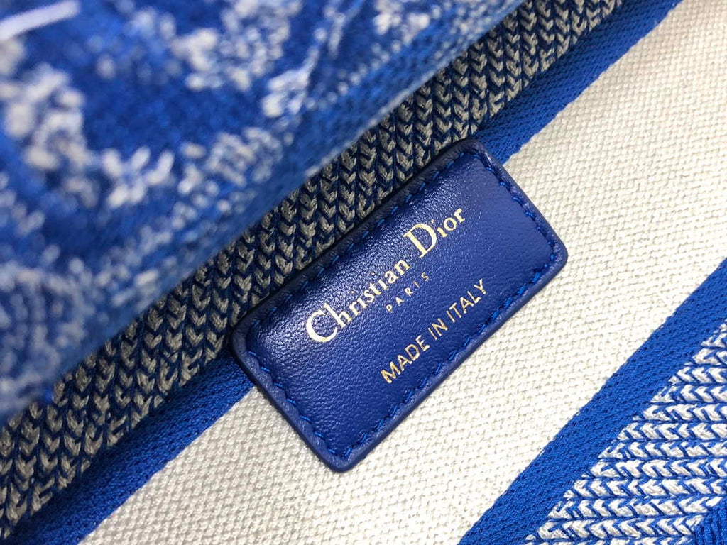 Dior M0566 Large Lady D-Lite Blue Toile de Jouy Embroidery M1053