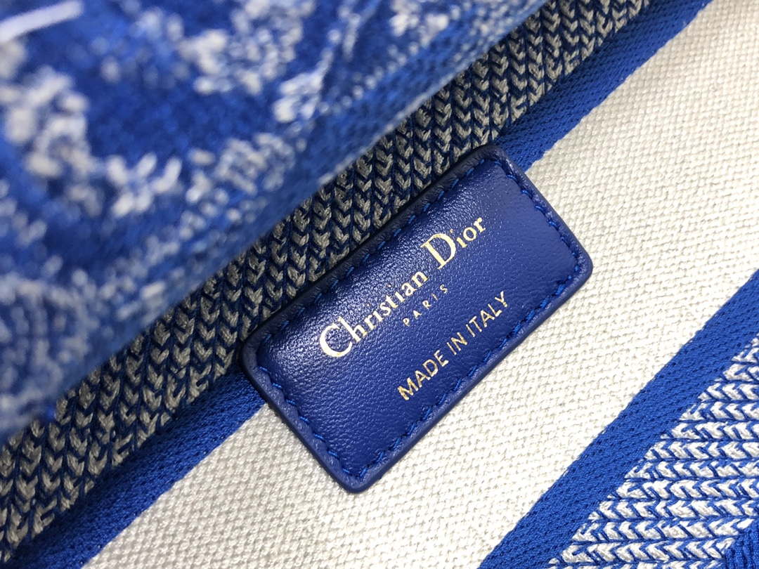 Dior M0566 Large Lady D-Lite Blue Toile de Jouy Embroidery M1053
