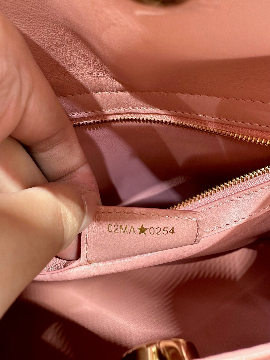Dior M0737 Cigale top handle bag pink