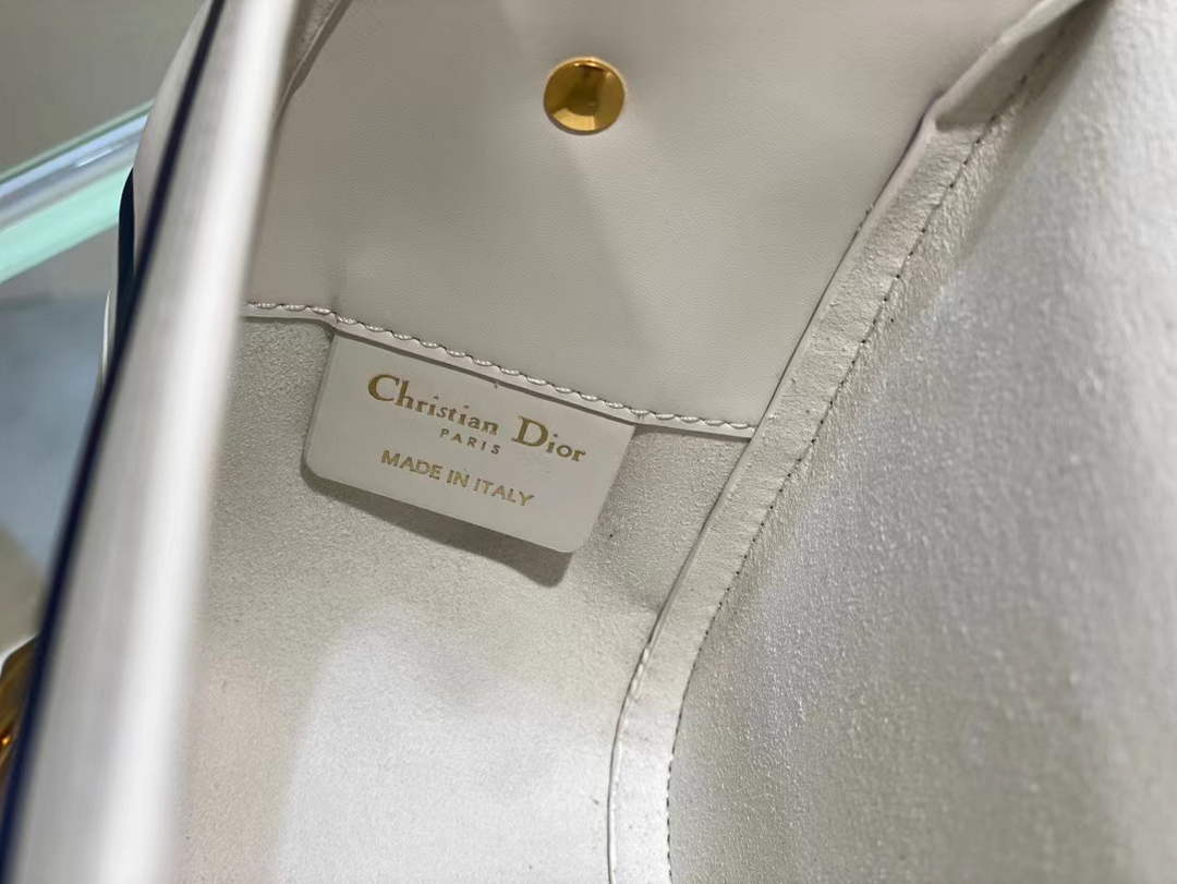 Dior M1243 Small Diorcamp Bag White and Blue Smooth Calfskin - Default Title - View 9
