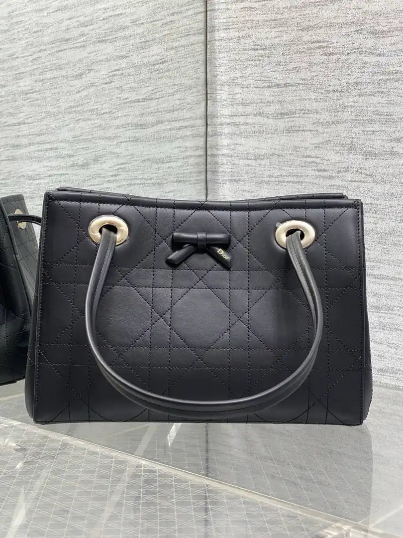 Dior M1410 Small Promenade Shopping Bag M6609