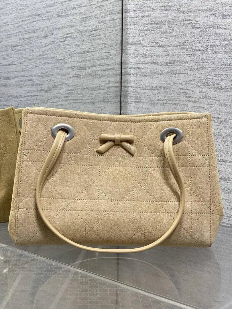 Dior M1410 Small Promenade Shopping Bag M6605