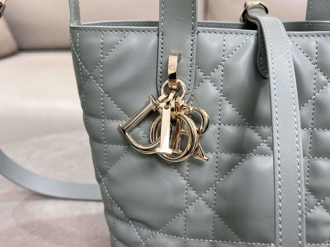 Dior M2835 Small Dior Toujours Vertical Tote Bag Blue Macrocannage Calfskin